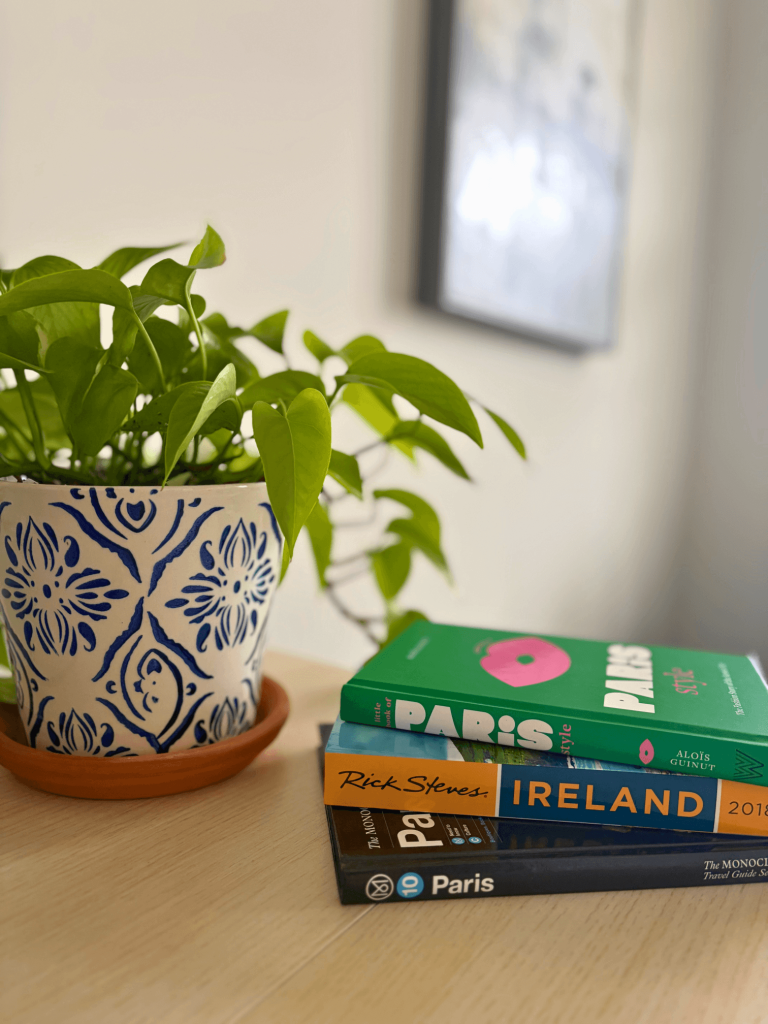 Plant and books on a desk.
